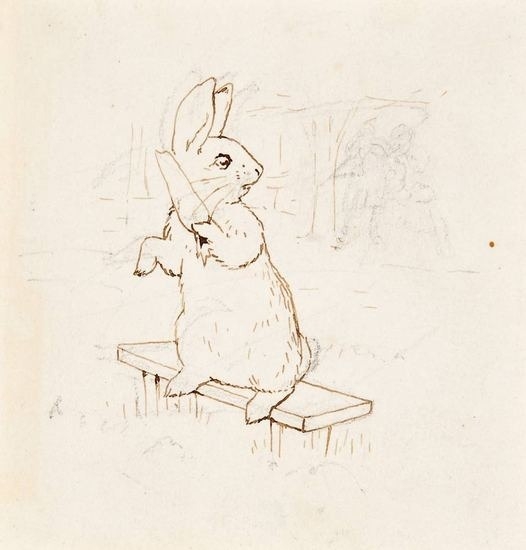 Beatrix Potter's pencil drawings of a rabbit for her story books