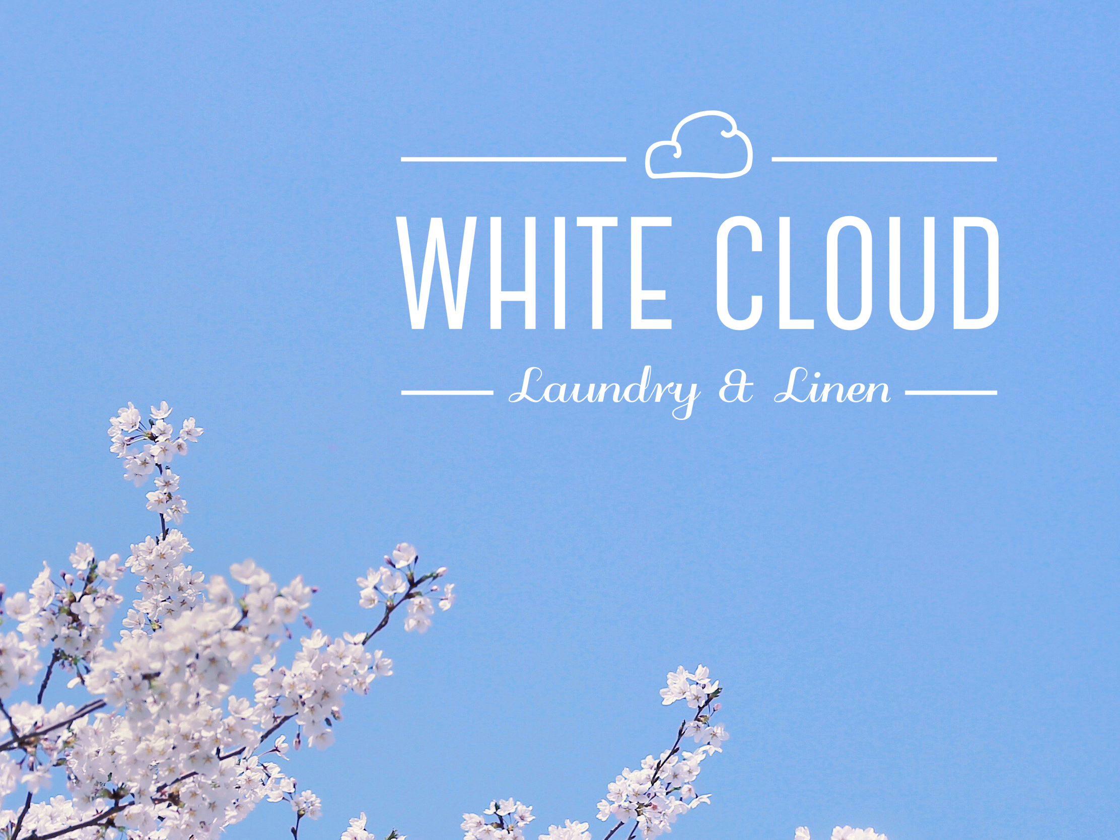 The logo we created for White Cloud Laundry & Linen