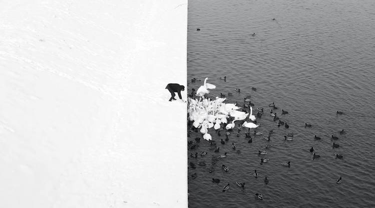 Siena International Photography Awards monochrome picture of man feeding birds in the snow