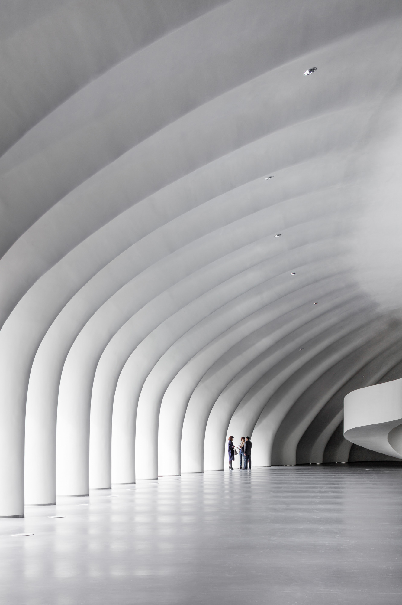 White ribbed ceiling in this impressive architecture 