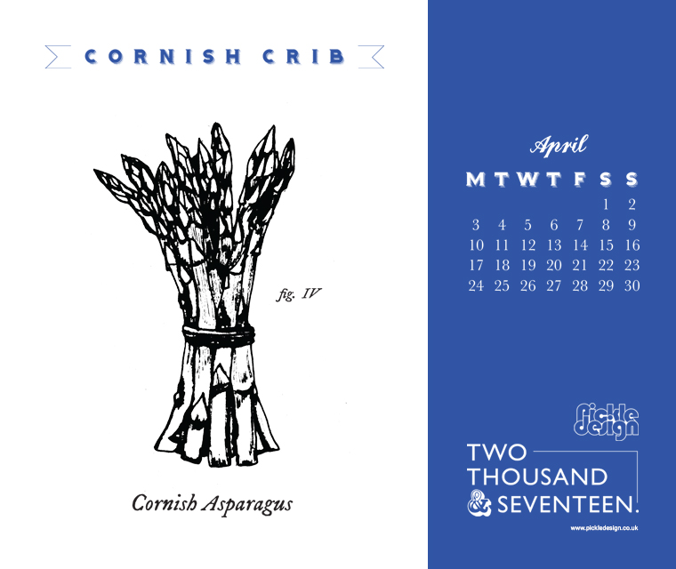 Asparagus illustrated in engraving style for the Pickle Design April calendar download