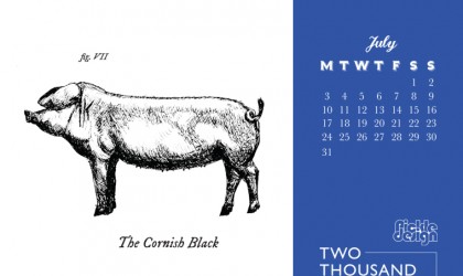 Download the month of July and our illustration of the Cornish Black pig for your desktop screen, tablet or mobile