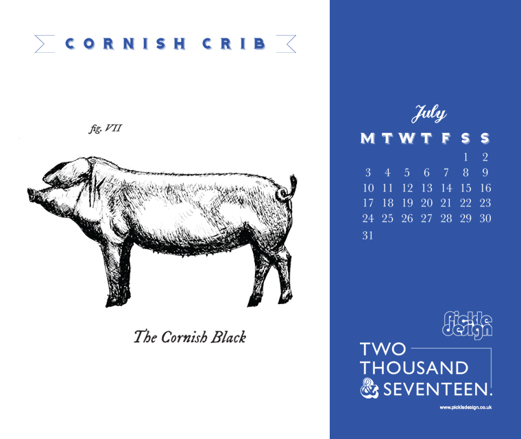 Download the month of July and our illustration of the Cornish Black pig for your desktop screen, tablet or mobile