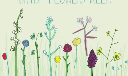 Celebrating British Flowers Week with a Pickle Design illustration