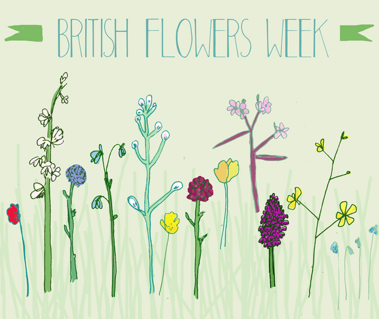 Celebrating British Flowers Week with a Pickle Design illustration