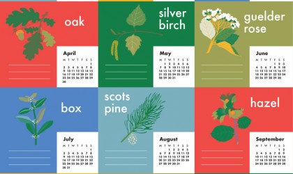 A2 poster calendar designed and illustrated by Pickle Design featuring British trees