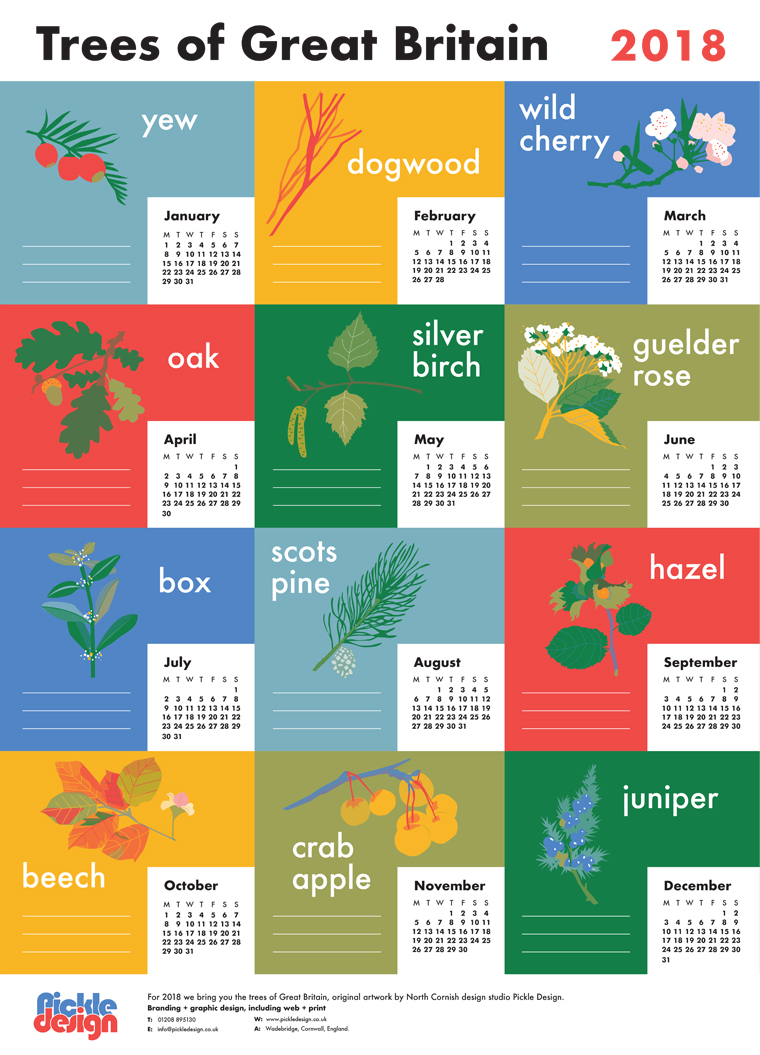 A2 poster calendar designed and illustrated by Pickle Design featuring British trees