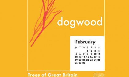 Download the Pickle Design February 2018 British Trees calendar featuring illustration of the Dogwood