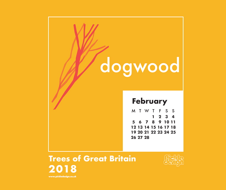 Download the Pickle Design February 2018 British Trees calendar featuring illustration of the Dogwood