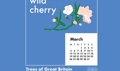 The Pickle Design March 2018 British Trees calendar download featuring illustration of the Wild Cherry tree