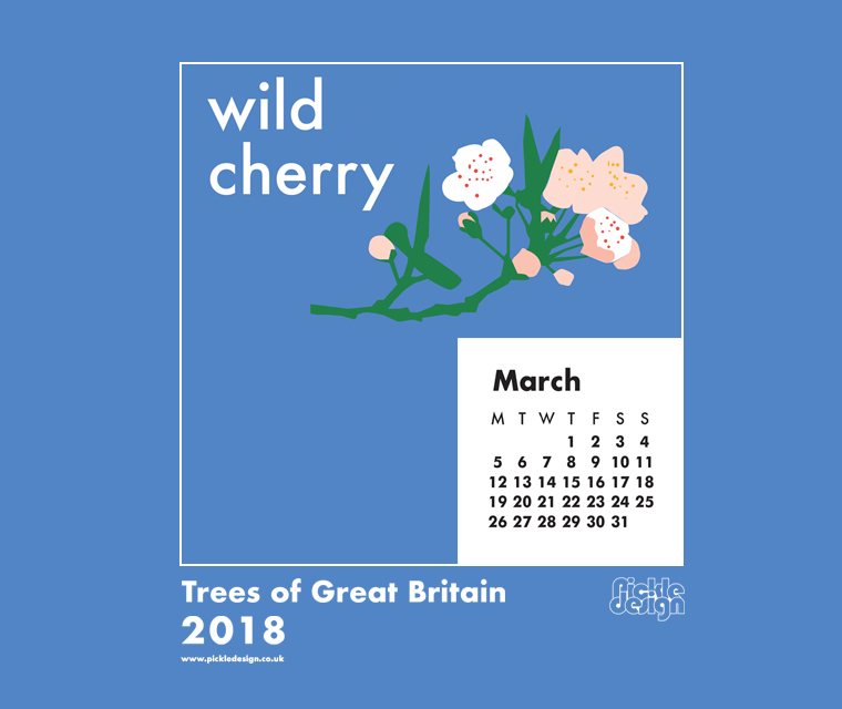 The Pickle Design March 2018 British Trees calendar download featuring illustration of the Wild Cherry tree