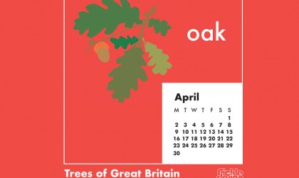 You can download our April calendar illustration of the Oak tree for your desktop, mobile or tablet