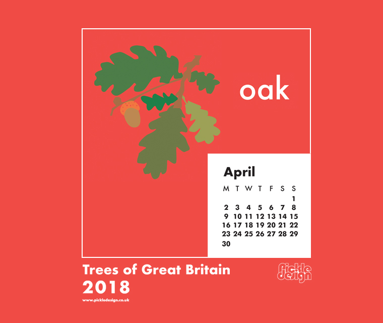 You can download our April calendar illustration of the Oak tree for your desktop, mobile or tablet