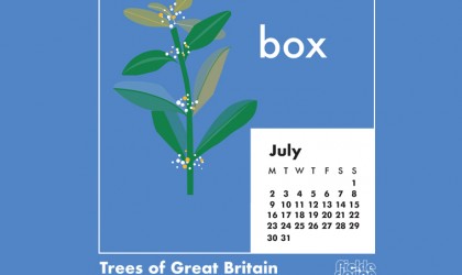 You can download our July calendar illustration of the the Box tree for your desktop, mobile or tablet