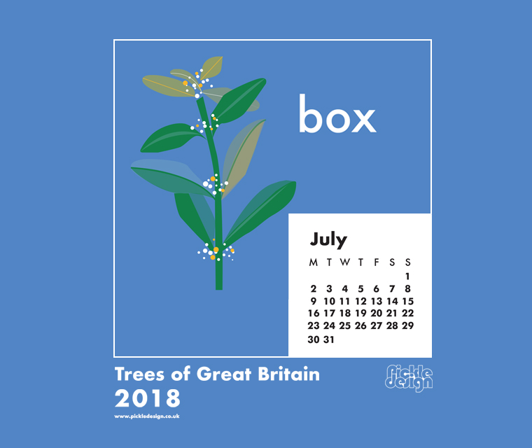 You can download our July calendar illustration of the the Box tree for your desktop, mobile or tablet