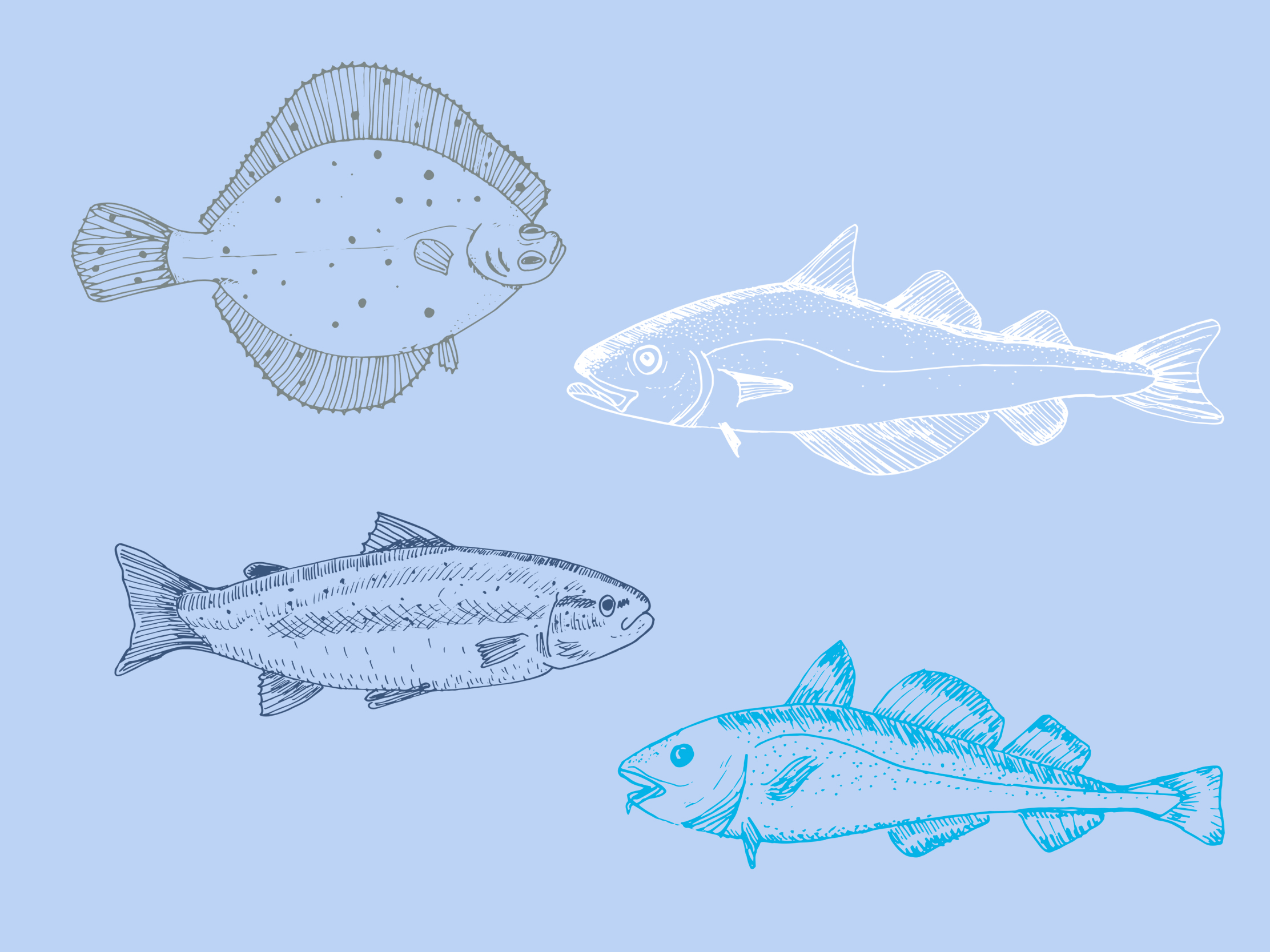 Illustrated elements created to expand the Port and Starboard brand