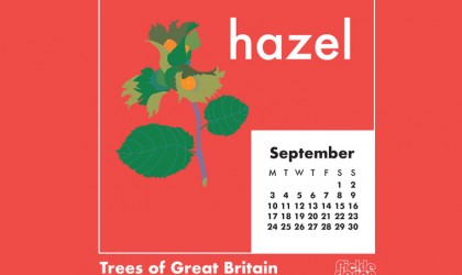 Download our September calendar with our retro style illustration of the Hazel from our pick of Great British Trees