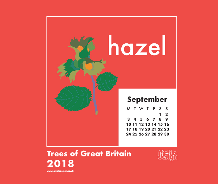 Download our September calendar with our retro style illustration of the Hazel from our pick of Great British Trees