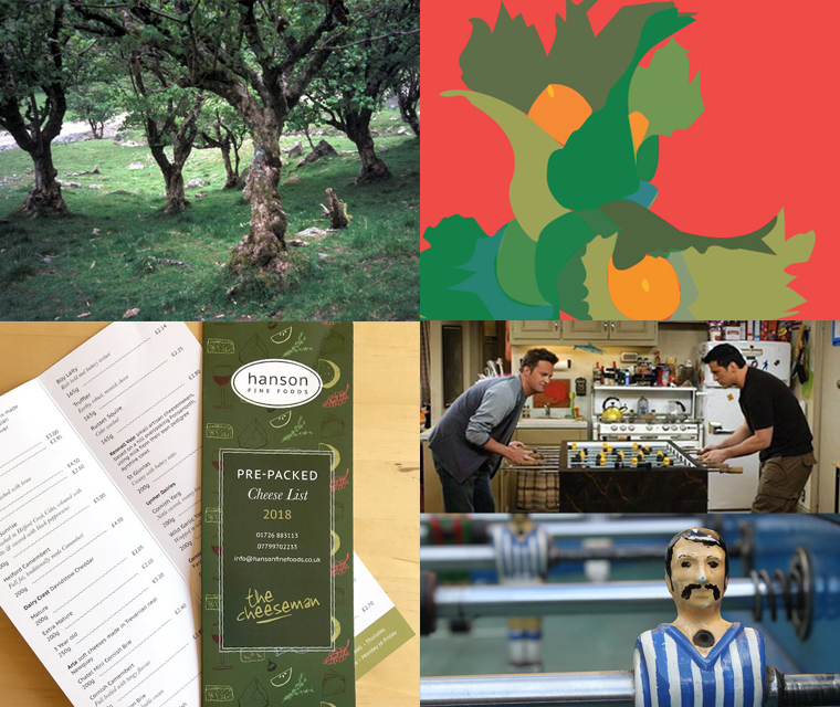 in our September newsletter all about the Hazel tree, the history of table football and our latest graphic design for a fine foods client 