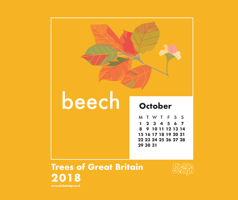 Download our October calendar with our retro style illustration of the Beech tree from our pick of Great British Trees
