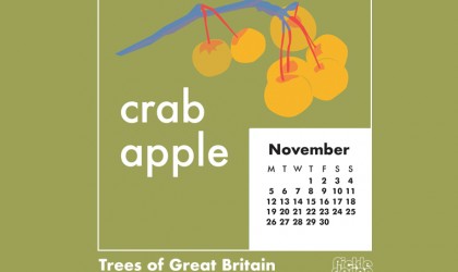 Download our November calendar with our retro style illustration of the Crab Apple tree from our pick of Great British Trees