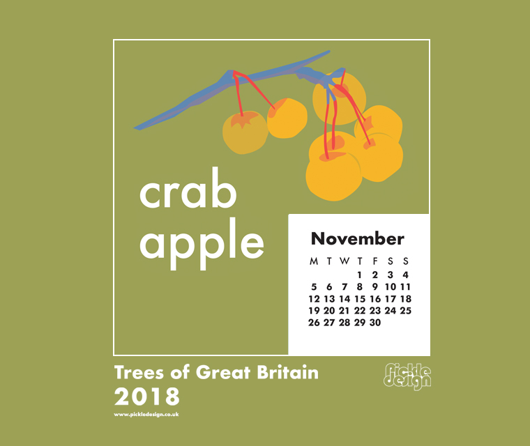 Download our November calendar with our retro style illustration of the Crab Apple tree from our pick of Great British Trees