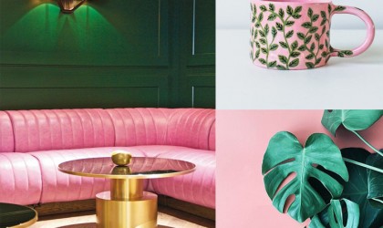 Interiors, plants and ceramics with dark green and bright pink