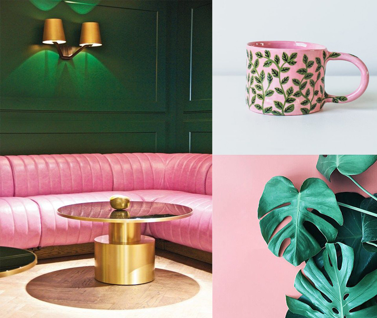 Interiors, plants and ceramics with dark green and bright pink