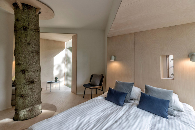 Living tree in the centre of a modern holiday home in Denmark