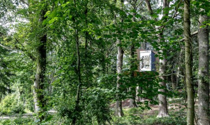 Nestled in the trees minimalist holiday cabin