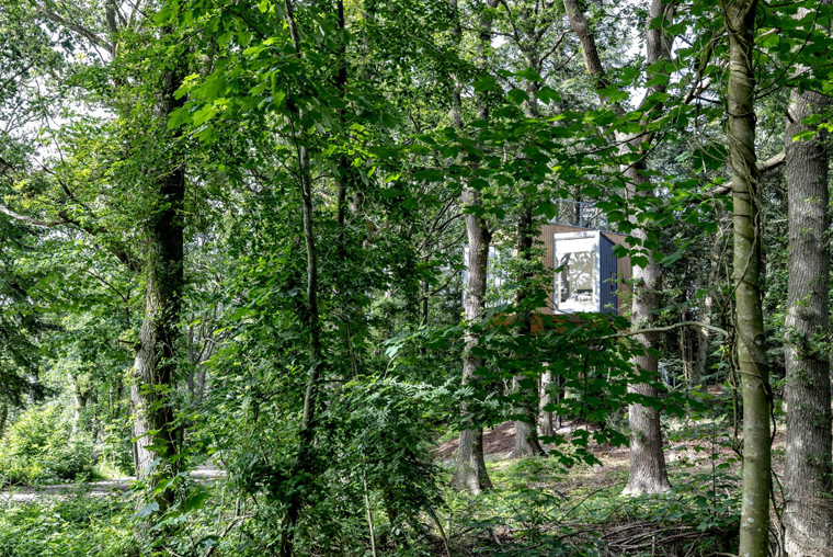 Nestled in the trees minimalist holiday cabin