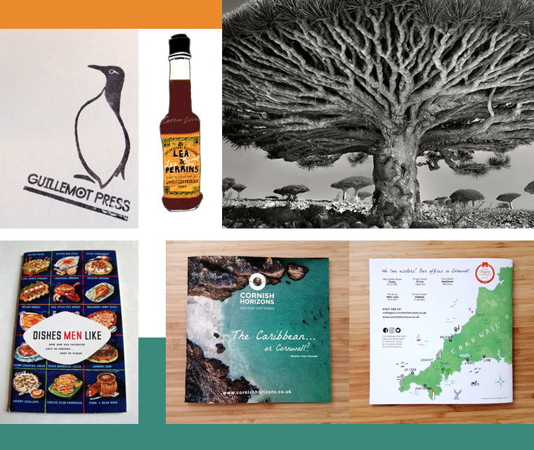Stamps, ancient trees, Worcester sauce and brochure design