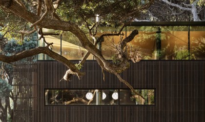 Massive architect designed house surrounded by trees