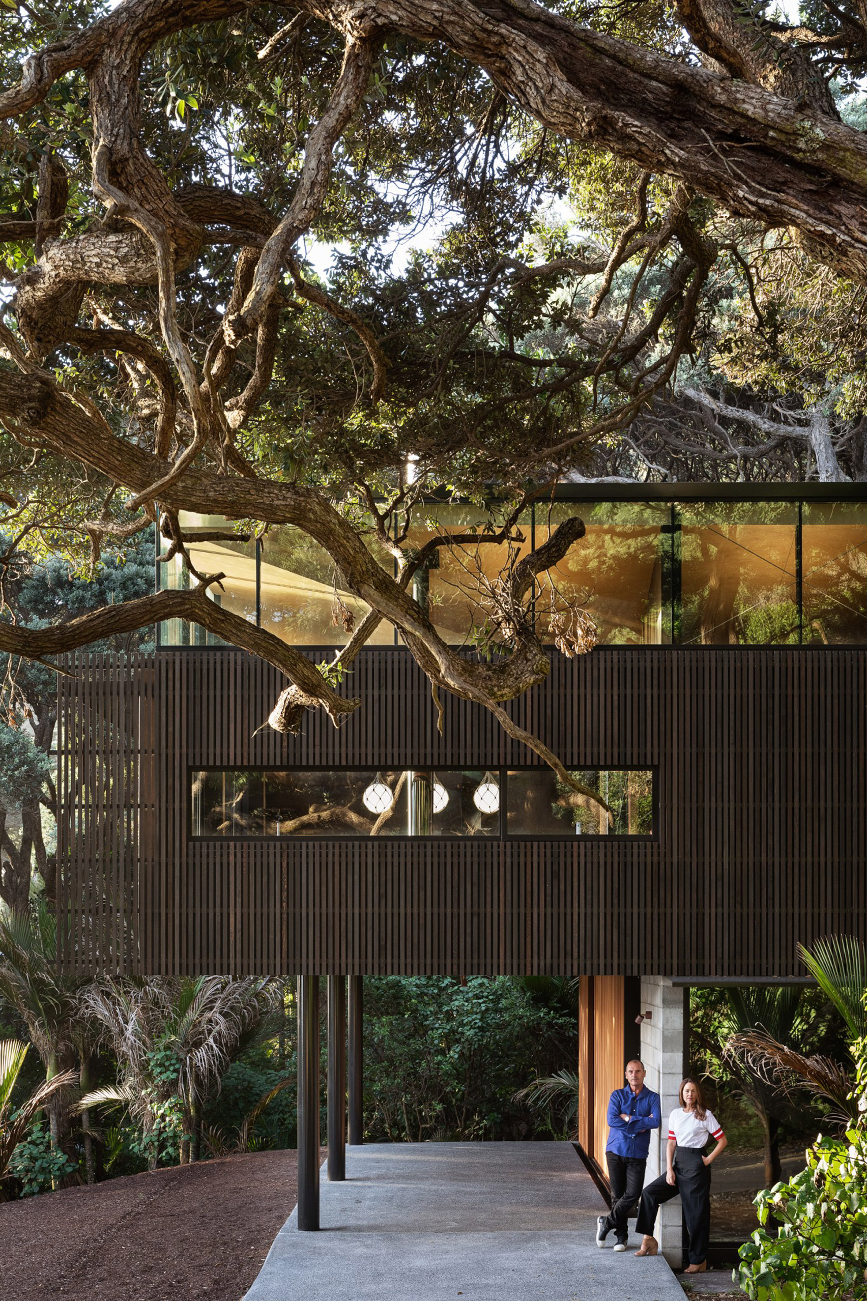 Massive architect designed house surrounded by trees