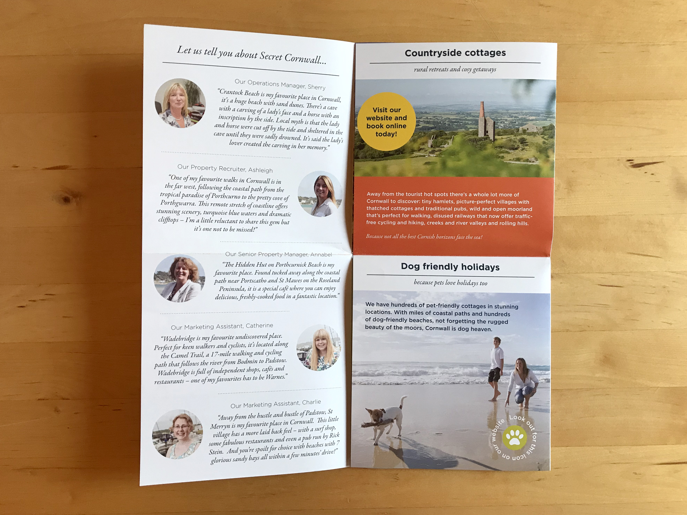 Fold out brochure for Cornish Horizons by Pickle Design