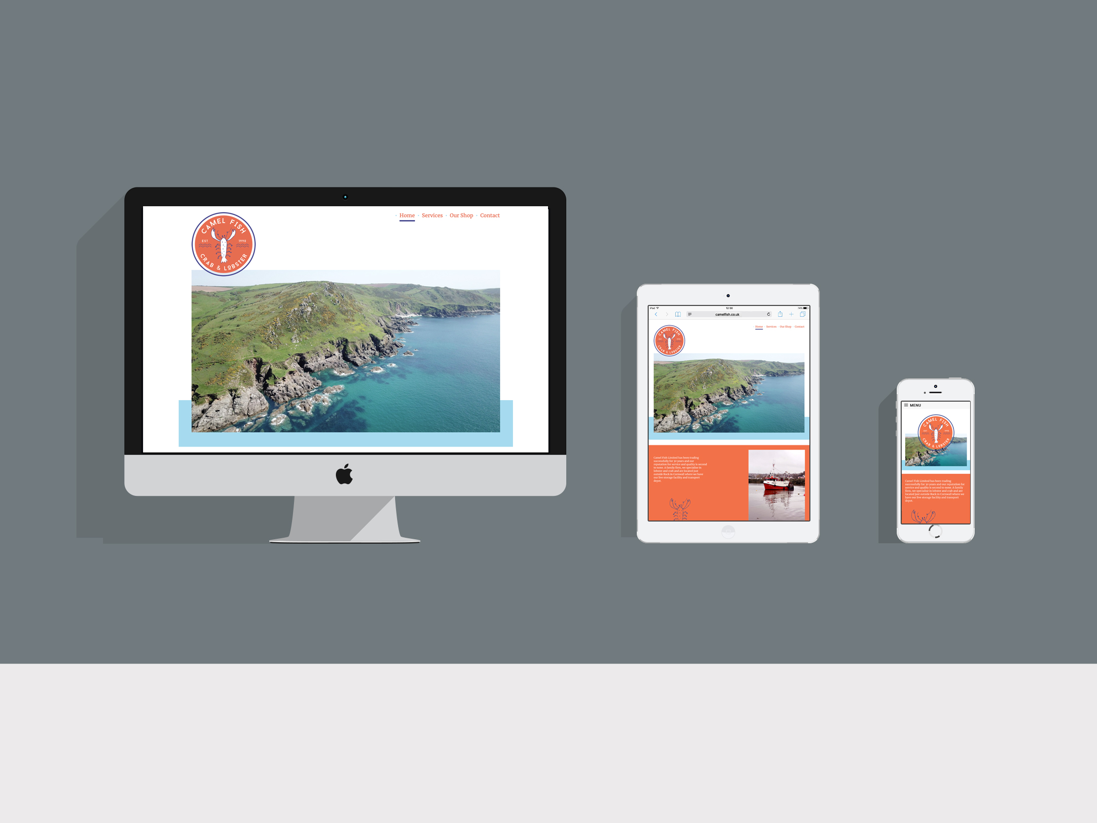 Camel Fish responsive web design