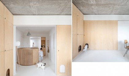 Paris duplex with birch plywood