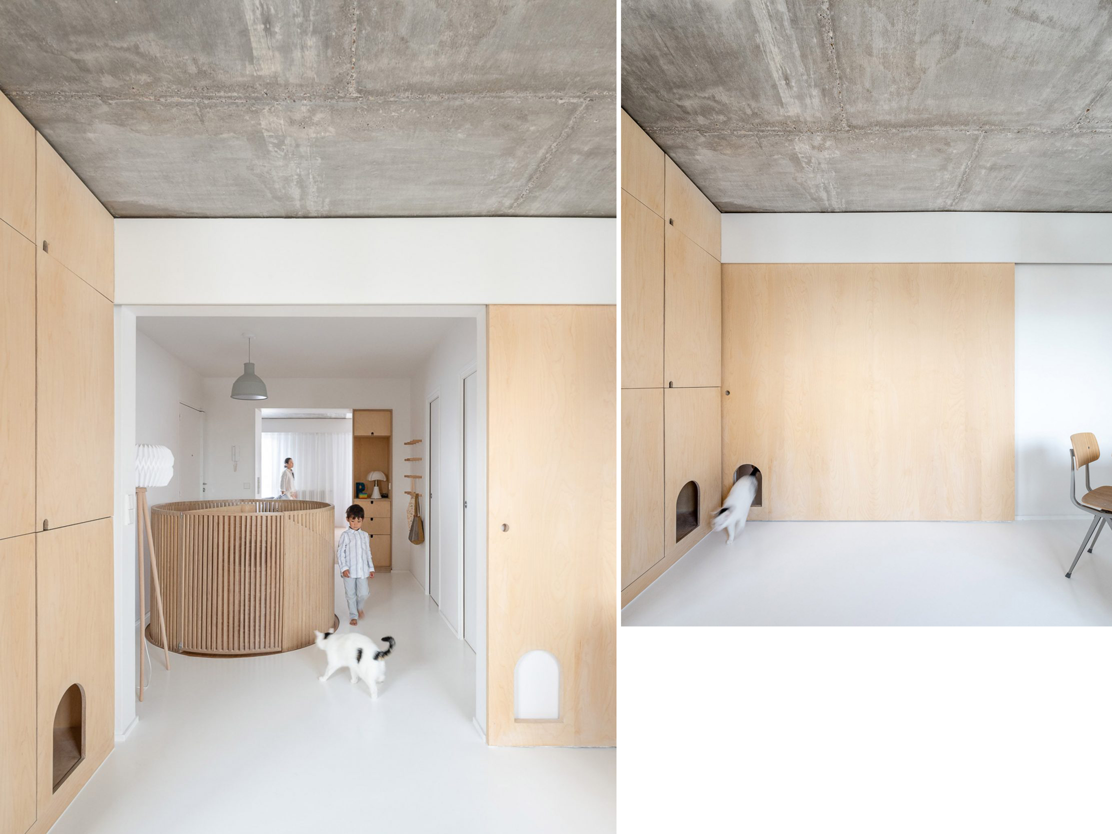 Paris duplex with birch plywood