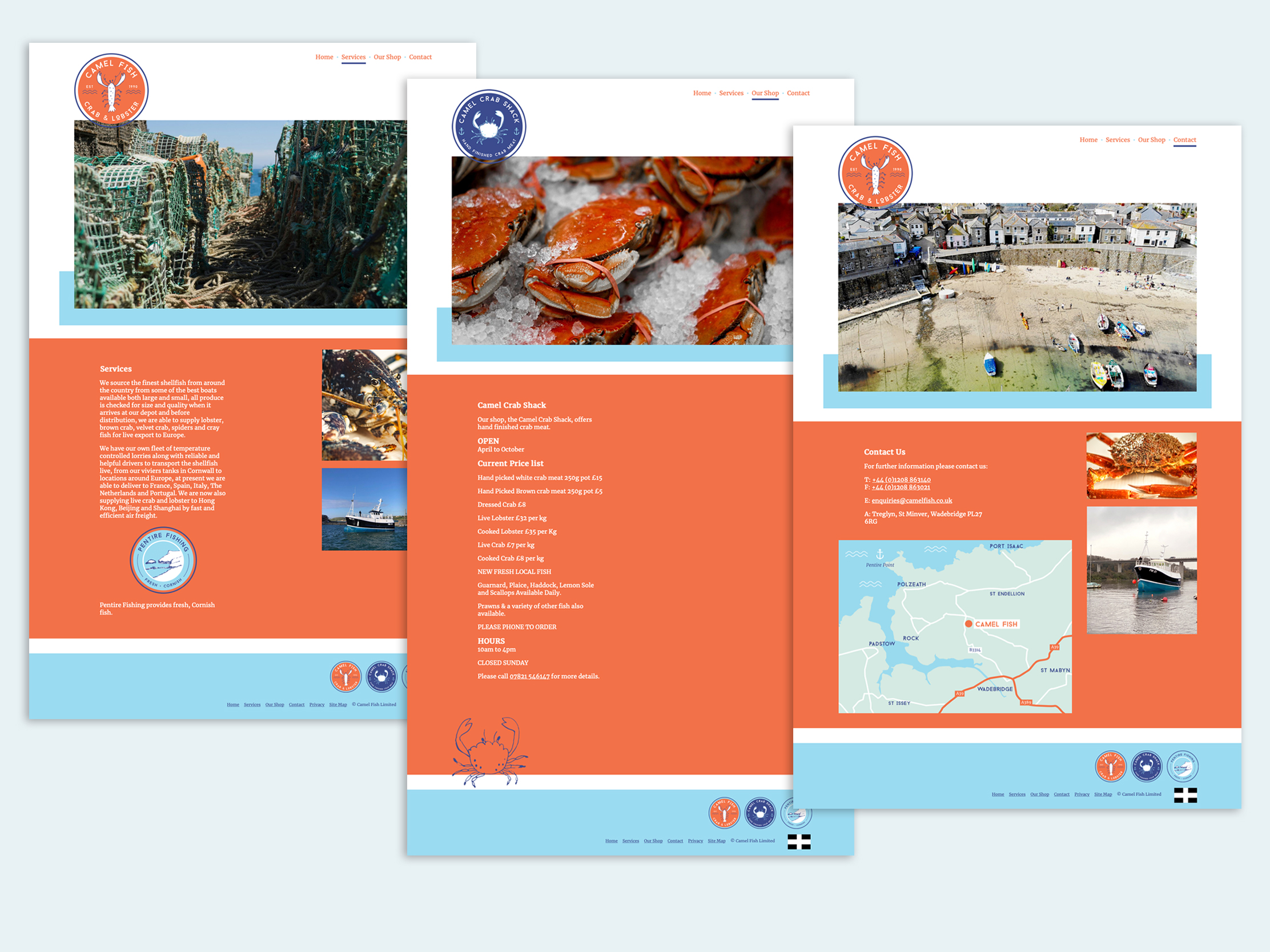 The Camel Fish Website