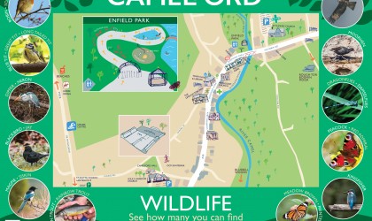 Illustrated town map with wildlife photos for Camelford