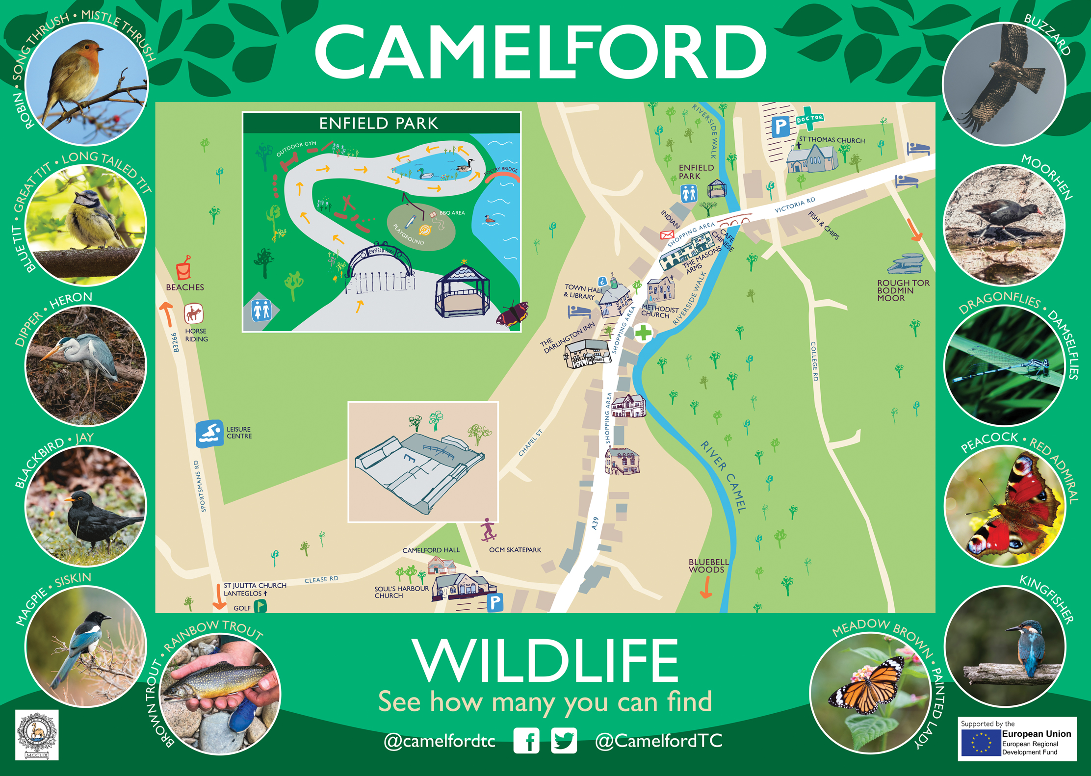 Illustrated town map for Camelford showing landmarks, local businesses and wildlife photography
