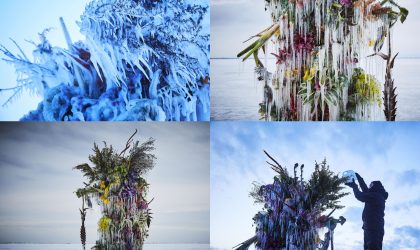 Floral-art-frozen