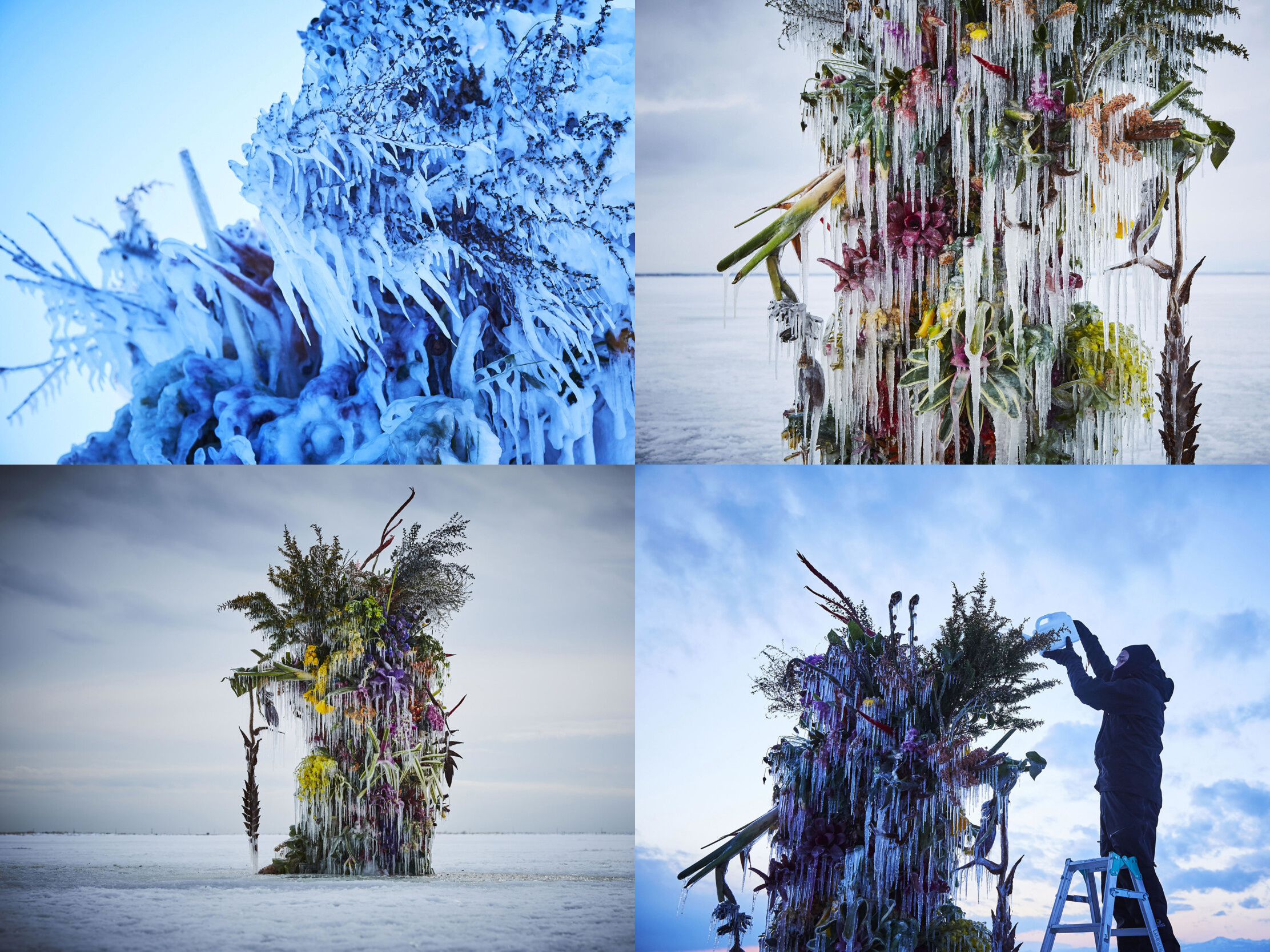 Floral-art-frozen