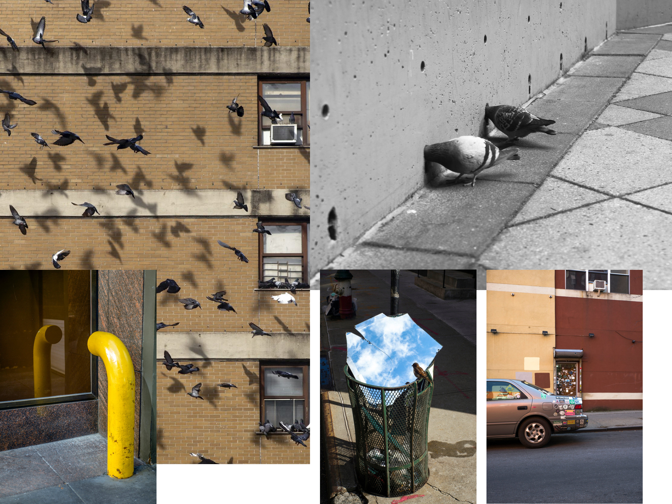 Eric Kogan New York Street Photography