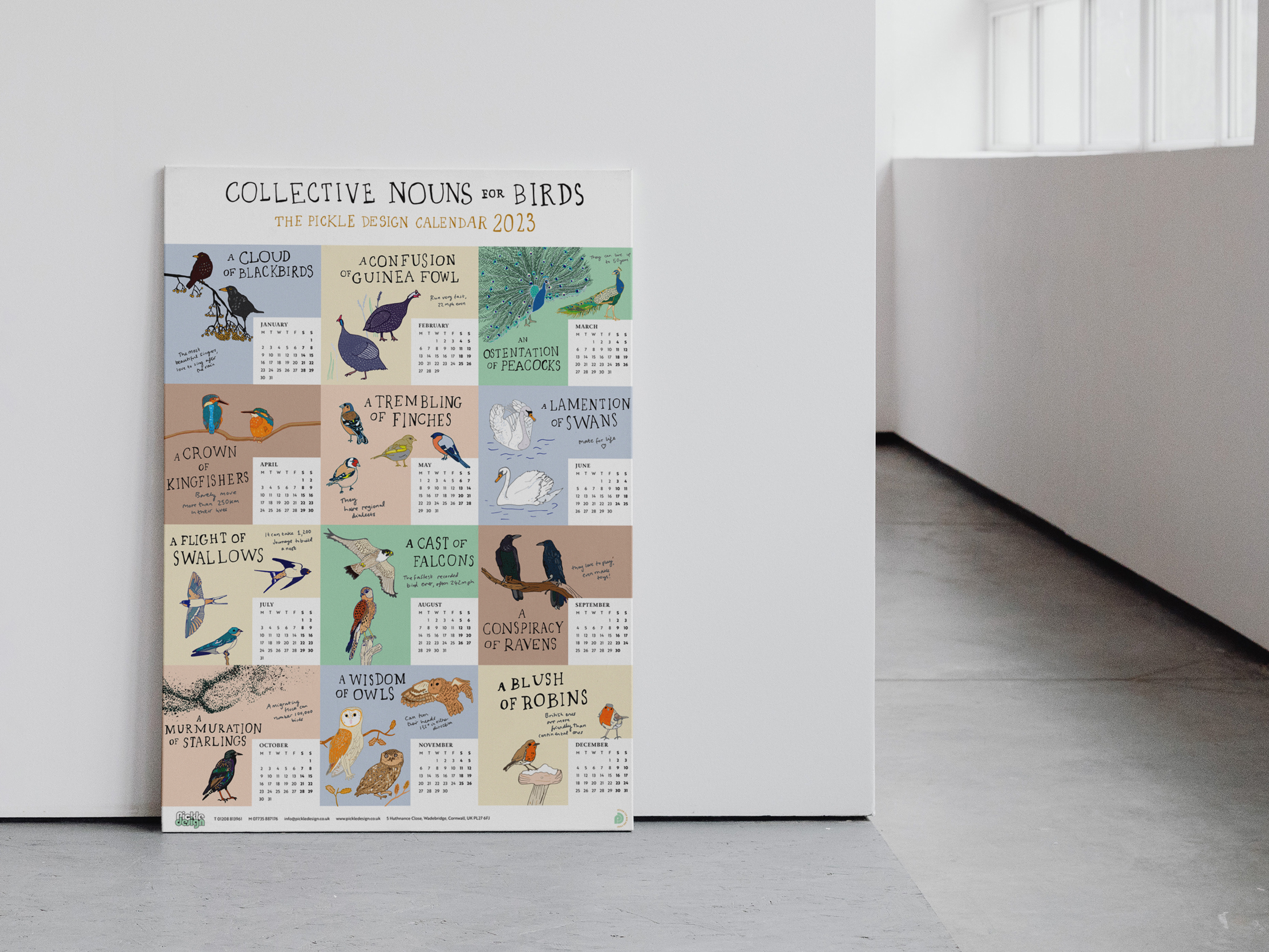 2023 poster calendar illustrated collective nouns for birds