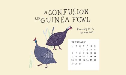 Download our calendar artwork featuring collective nouns for birds