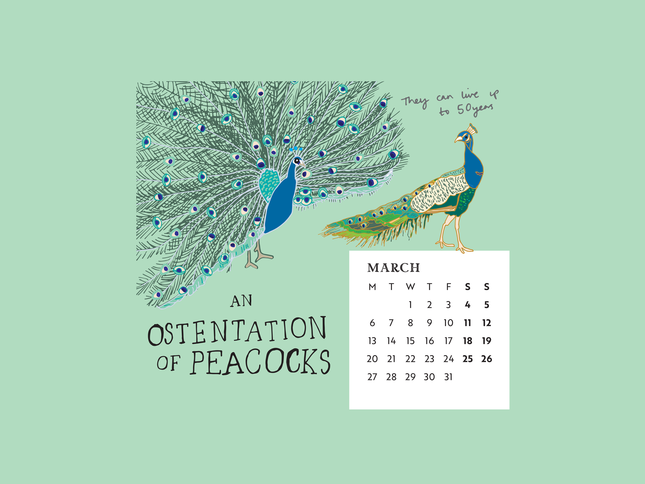 Download our calendar artwork featuring collective nouns for birds