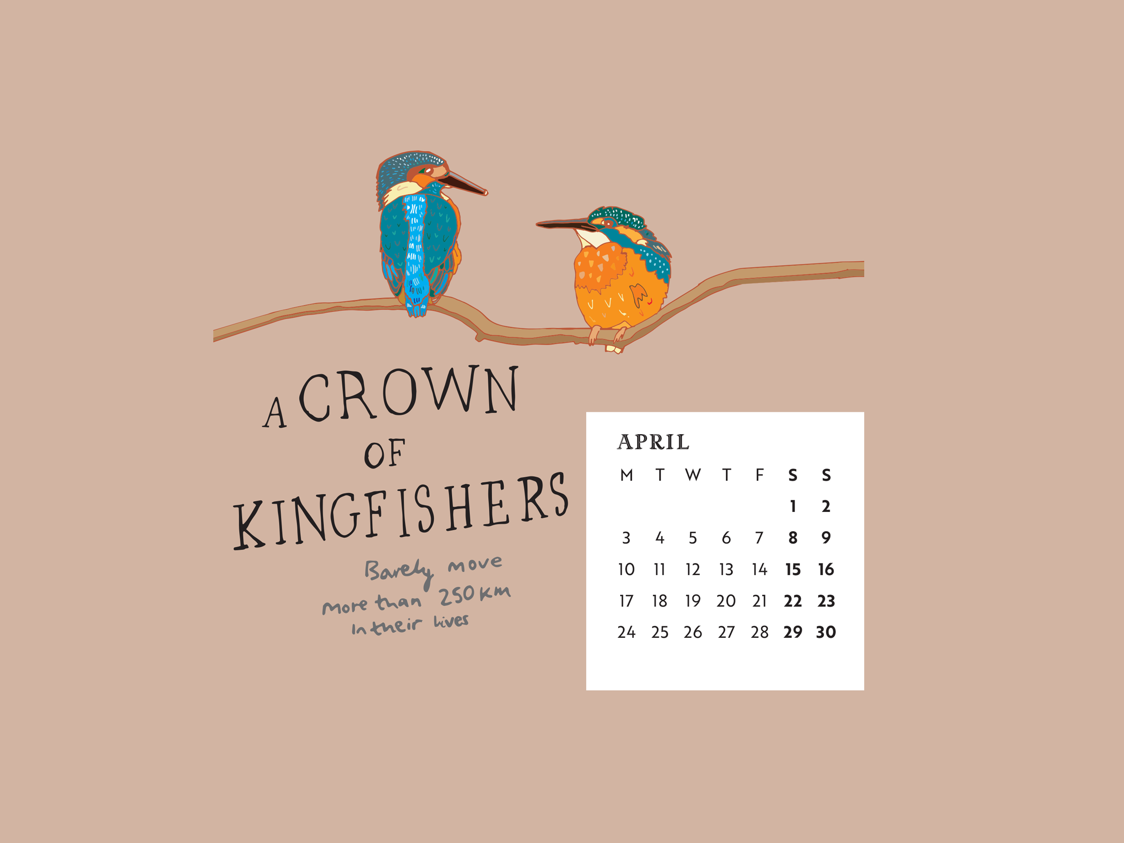 Download our calendar artwork featuring collective nouns for birds