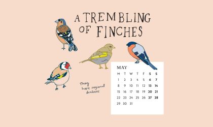 Download our calendar artwork featuring collective nouns for birds