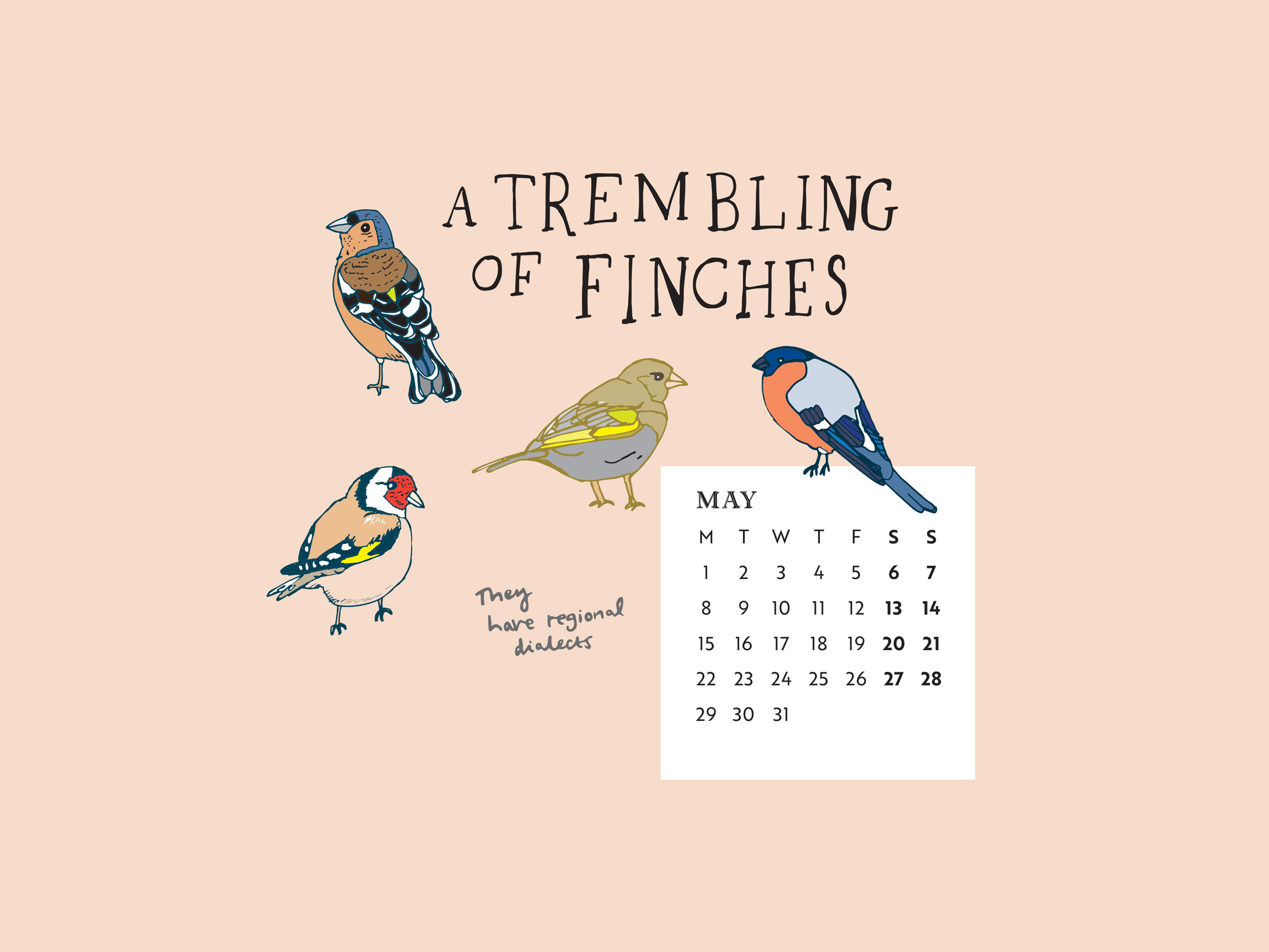 Download our calendar artwork featuring collective nouns for birds